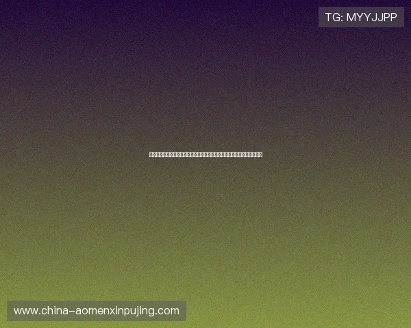 新葡京官方安全保障措施揭秘,保障玩家账户资金安全的多重防护体系介绍