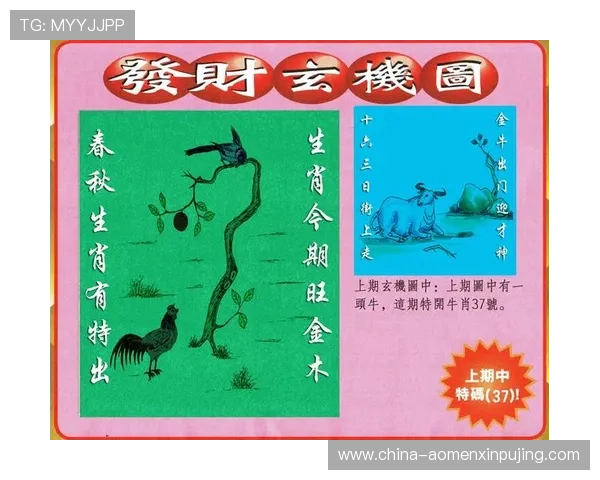 澳门彩线上手机版常见问题解答，解决玩家在使用中的各种疑虑